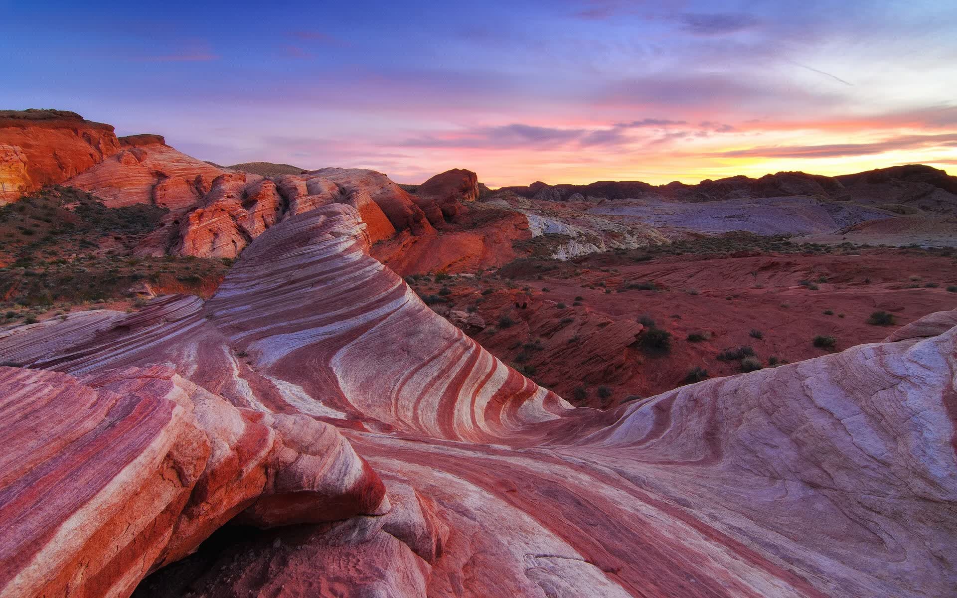 世界举重锦标赛赛后复盘会议召开，2021年世界举重比赛视频
